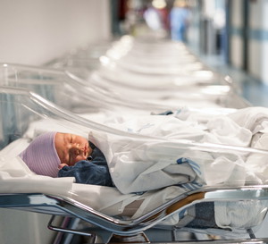 Bliźnięta dwukolorowe z Łodzi