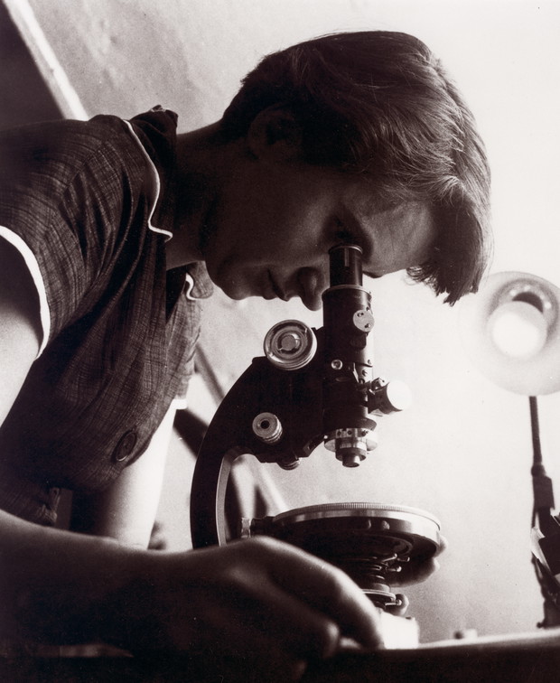 Rosalind Franklin, współodkrywczyni podwójnej helisy DNA