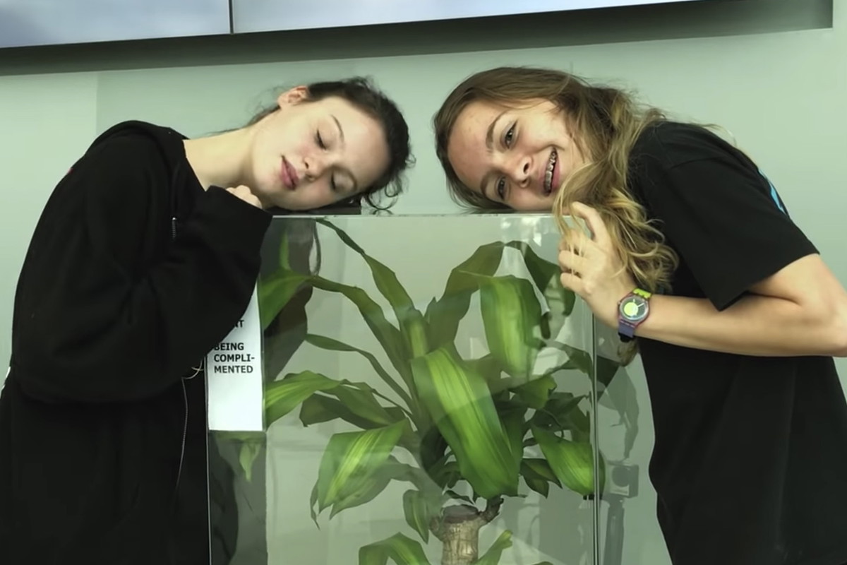 Eksperyment Ikea