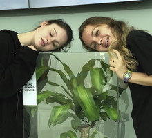 Eksperyment Ikea