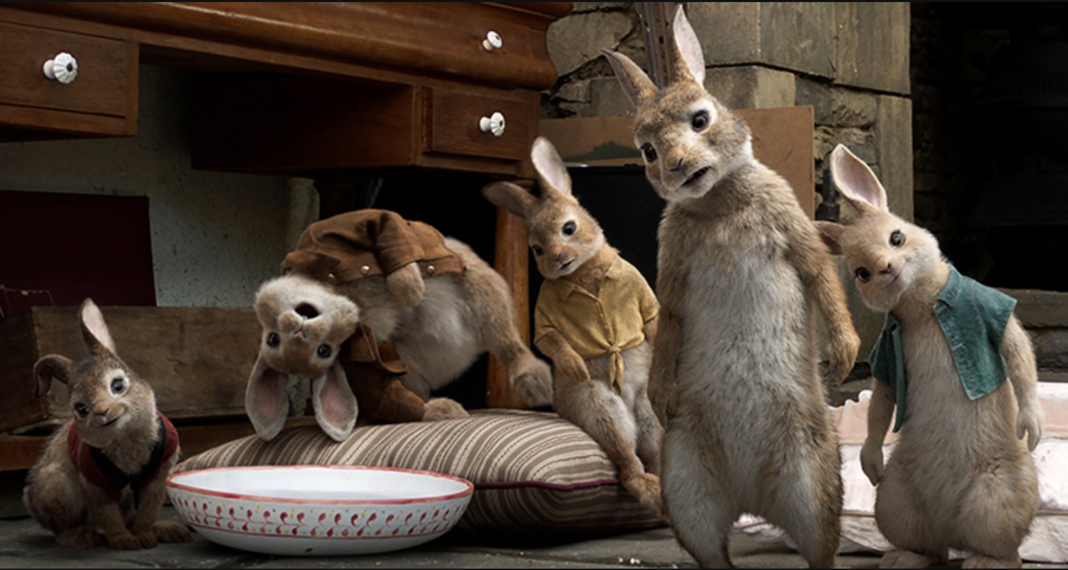 Horror zamiast bajki Królik Piotruś dla dzieci