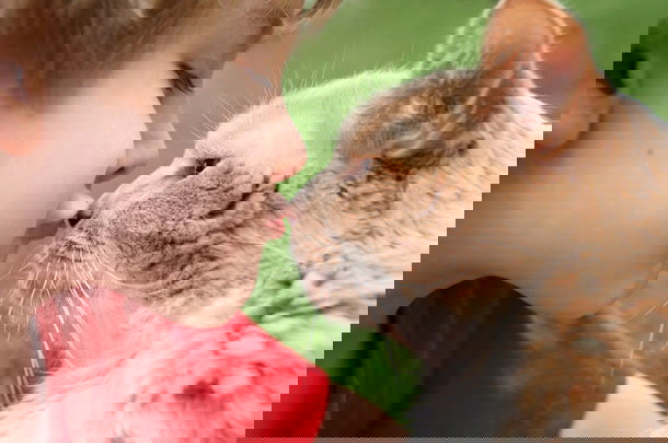 shutterstock_30499675m