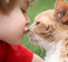 shutterstock_30499675m