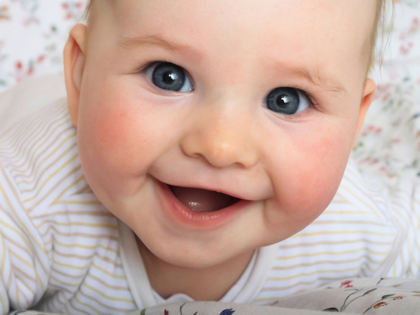 3e121ae1d8cdc4248263ba707211c283uniqueidcmcimage1