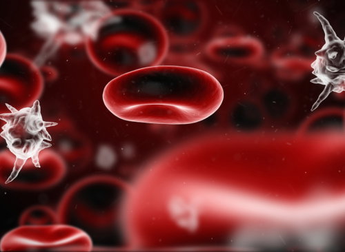 shutterstock_30195169