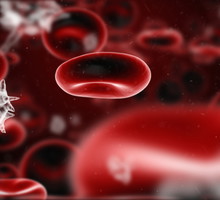 shutterstock_30195169