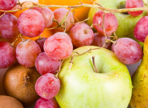 shutterstock_50426404