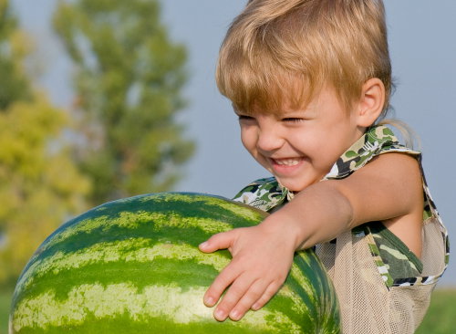 shutterstock_36671548