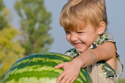 shutterstock_36671548