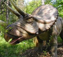 dinozaury