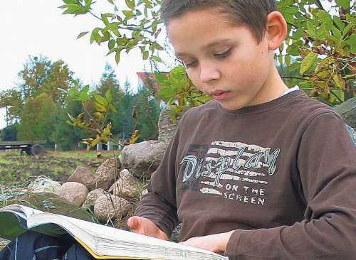 geniusz_gj
