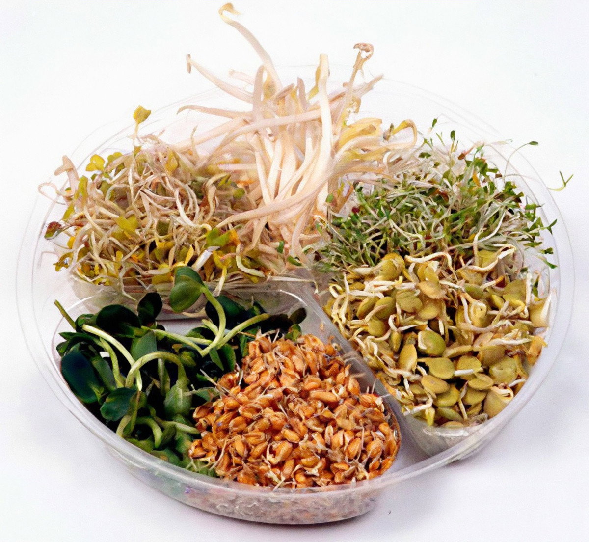 63_Przemycaj_zielone_normalny