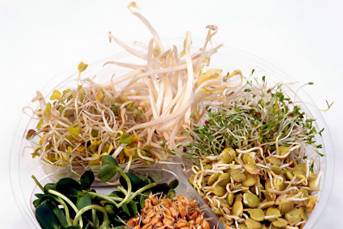 63_Przemycaj_zielone_normalny