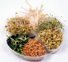 63_Przemycaj_zielone_normalny