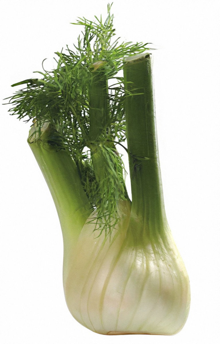 zdrowe_korzeniowe_normalny