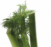 zdrowe_korzeniowe_normalny