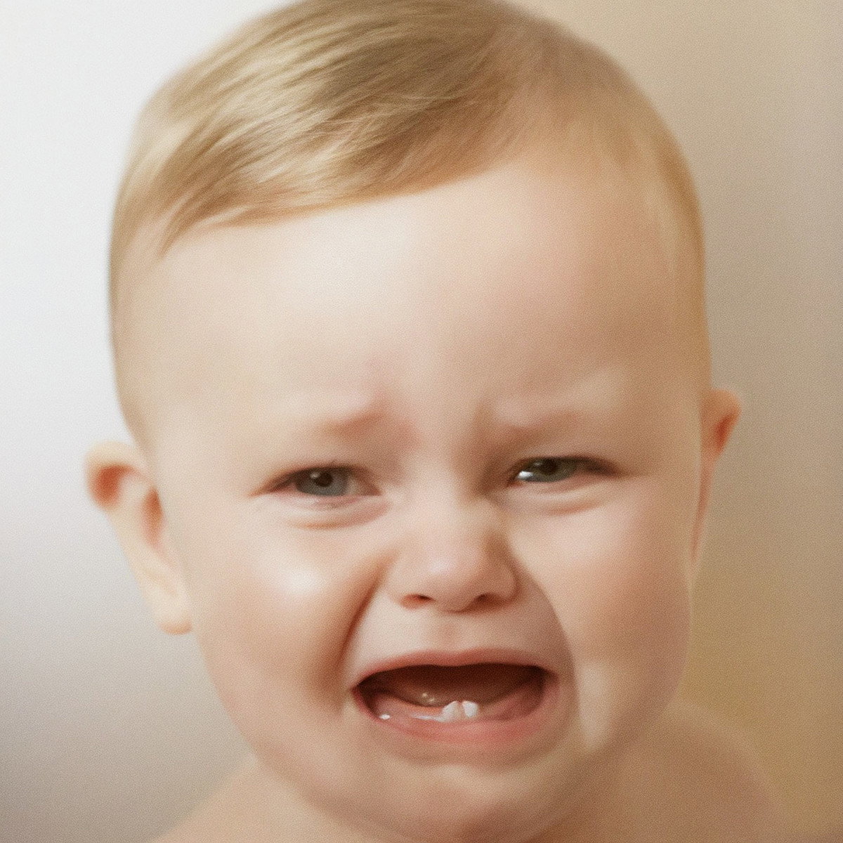 52_pan_kotek_normalny