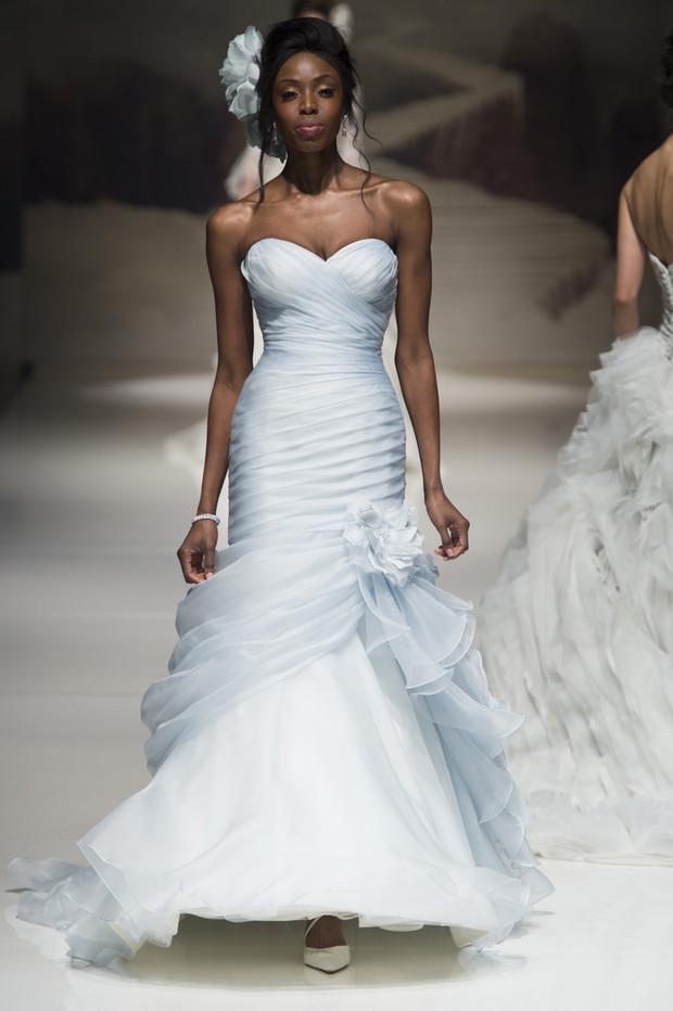 Ian_Stuart_brd_S15_034