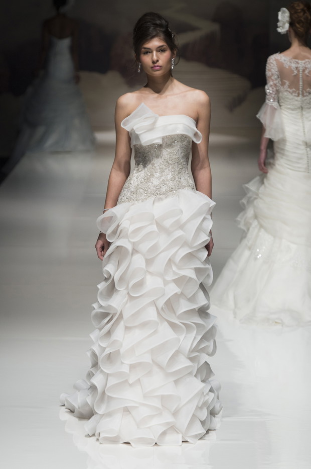Ian_Stuart_brd_S15_040