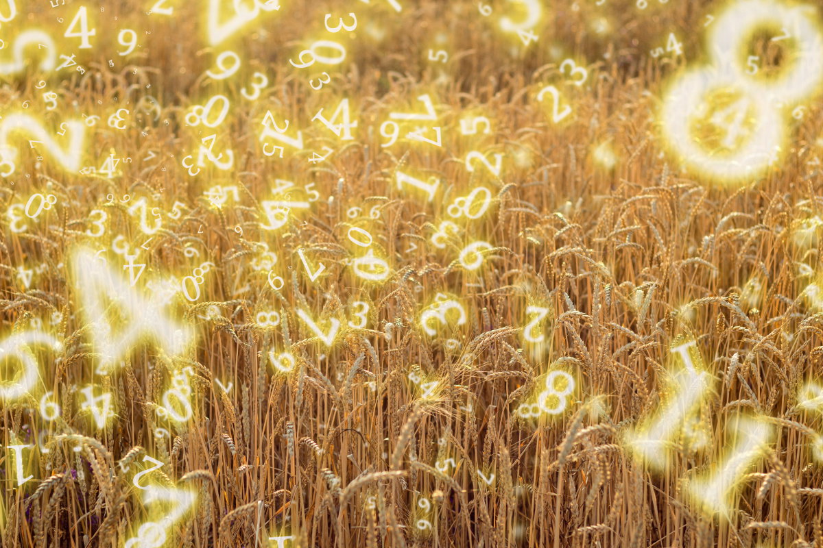 Numerologia tygodniowa 23-29 września 2024