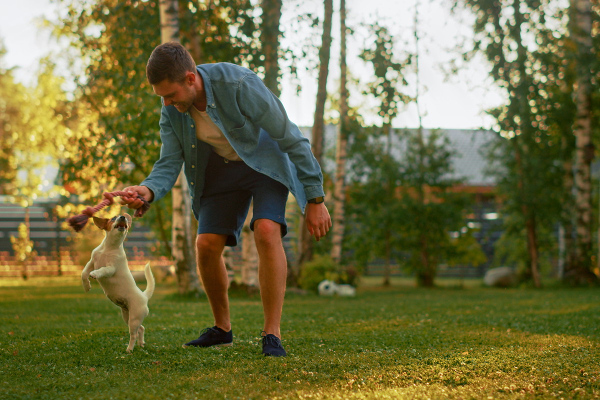 mężczyzna pies zabawa