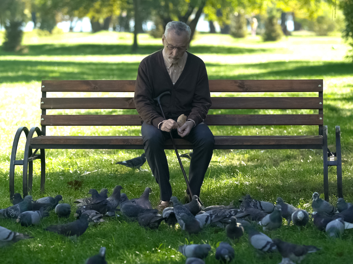 Adobe Stock, motortion