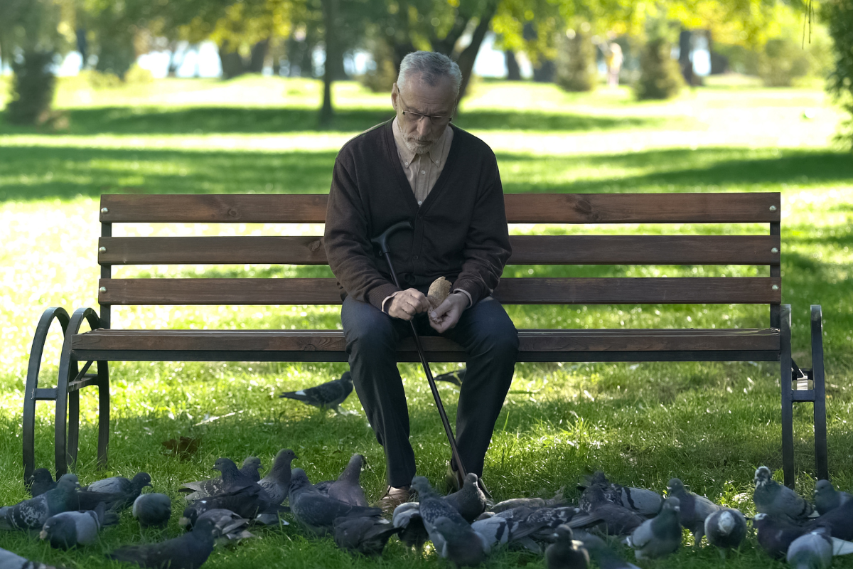 Adobe Stock, motortion