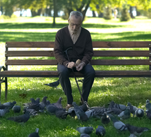 Adobe Stock, motortion