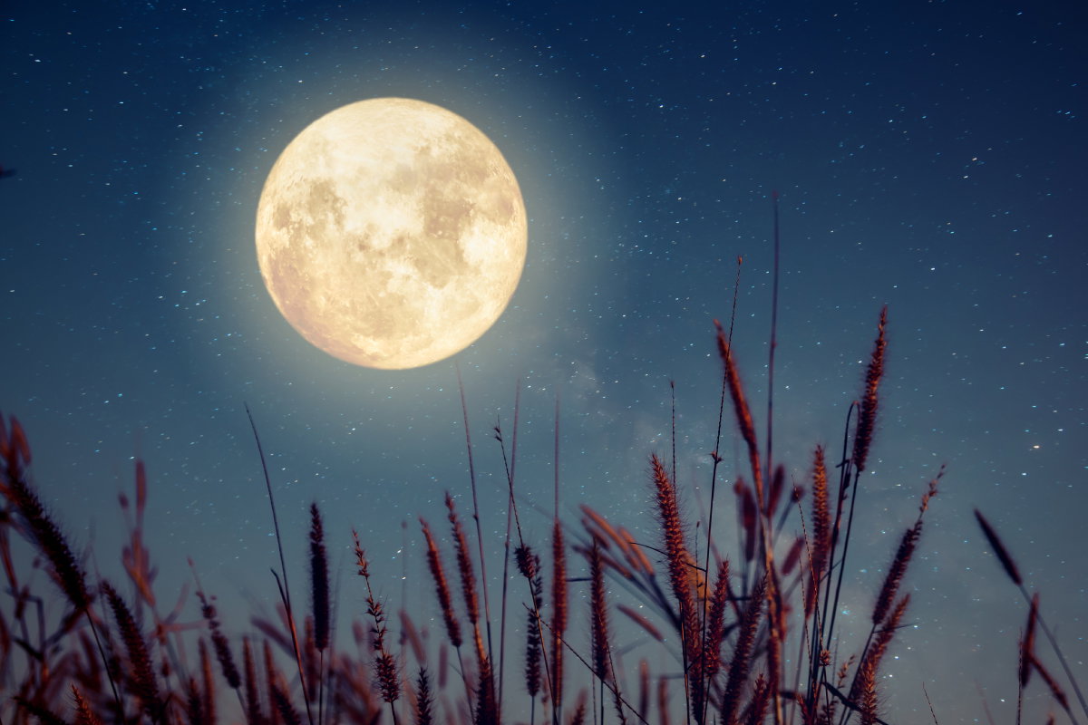 Tygodniowa prognoza astrologiczna 16-22 września 2024