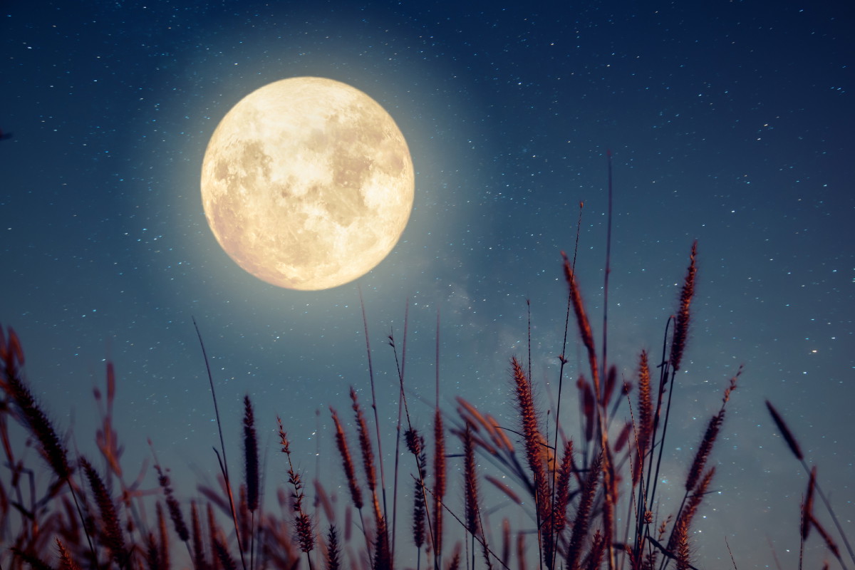Tygodniowa prognoza astrologiczna 16-22 września 2024