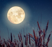 Tygodniowa prognoza astrologiczna 16-22 września 2024