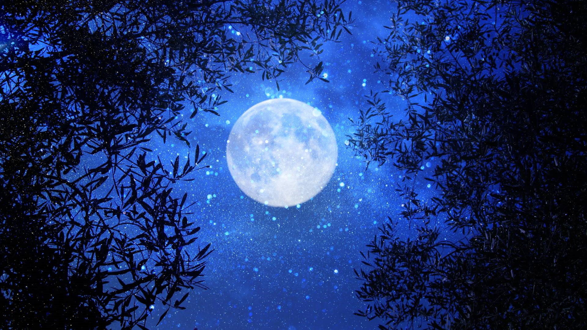 Przyciągnij pieniądze na Pełnię Kukurydzianego Księżyca.