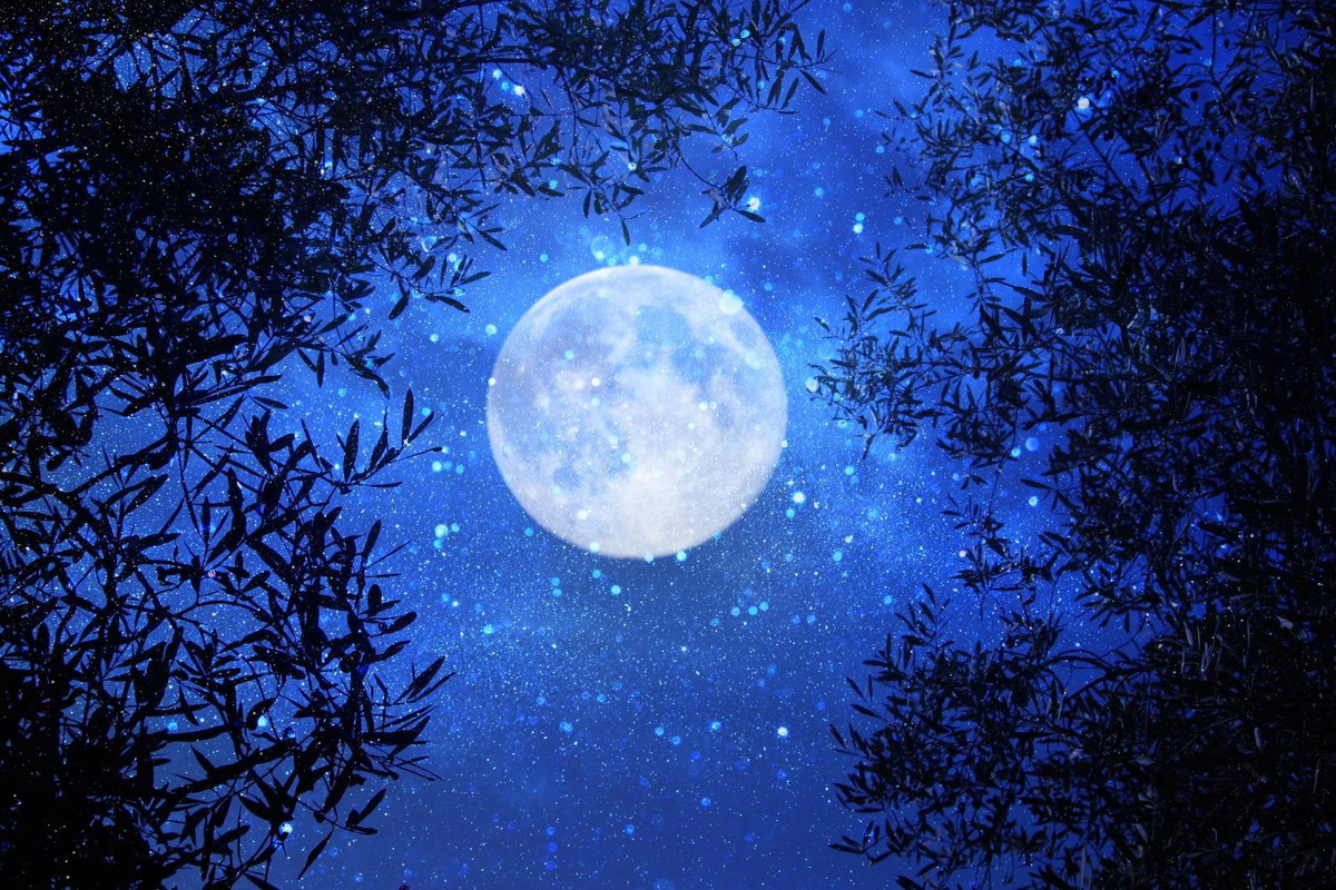 Przyciągnij pieniądze na Pełnię Kukurydzianego Księżyca.