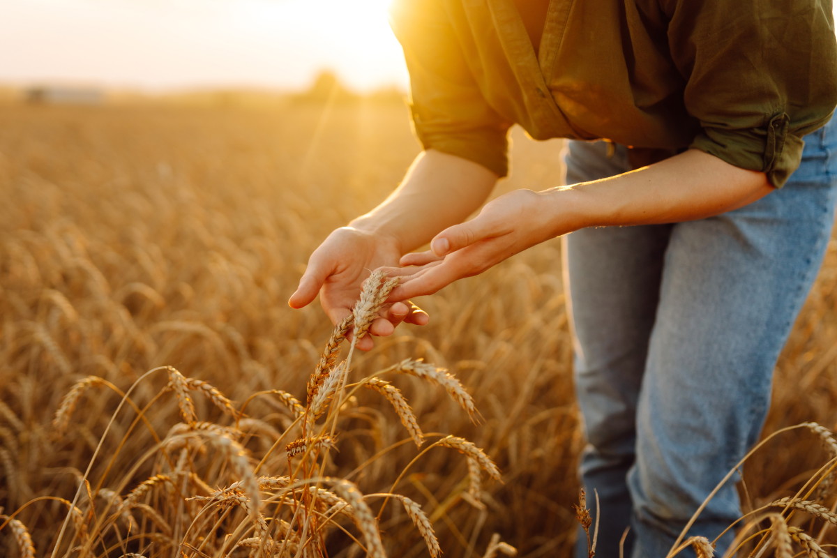 Pod żadnym pozorem nie rób tego do końca września