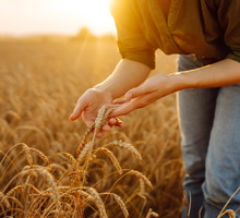 Pod żadnym pozorem nie rób tego do końca września