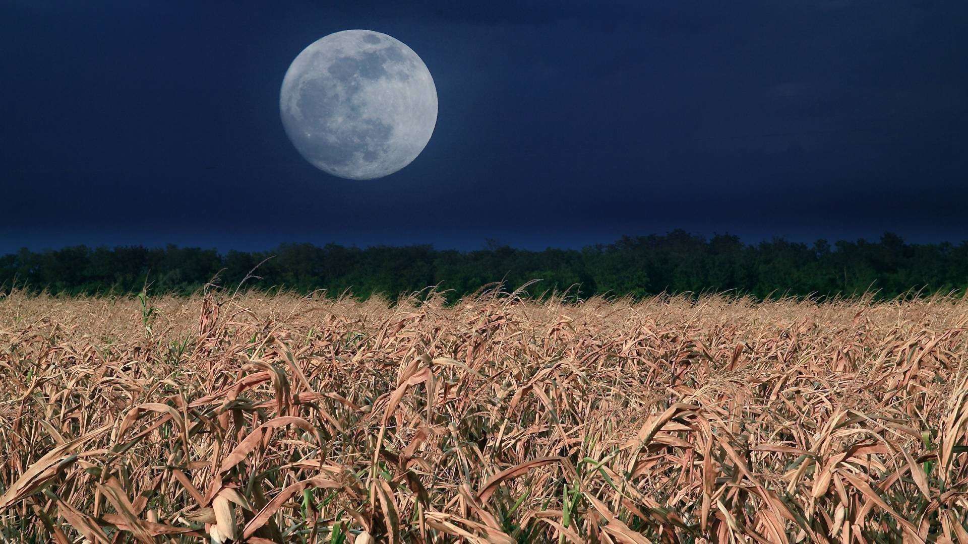 Pełnia Kukurydzianego Księżyca zamiesza w życiu 3 znaków zodiaku