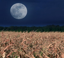 Pełnia Kukurydzianego Księżyca zamiesza w życiu 3 znaków zodiaku