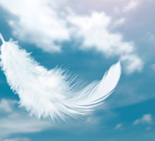 3 znaki zodiaku niebawem otrzymają anielską wiadomość