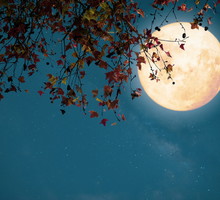 Superksiężyc w Rybach zmieni twoje życie w 3 dziedzinach