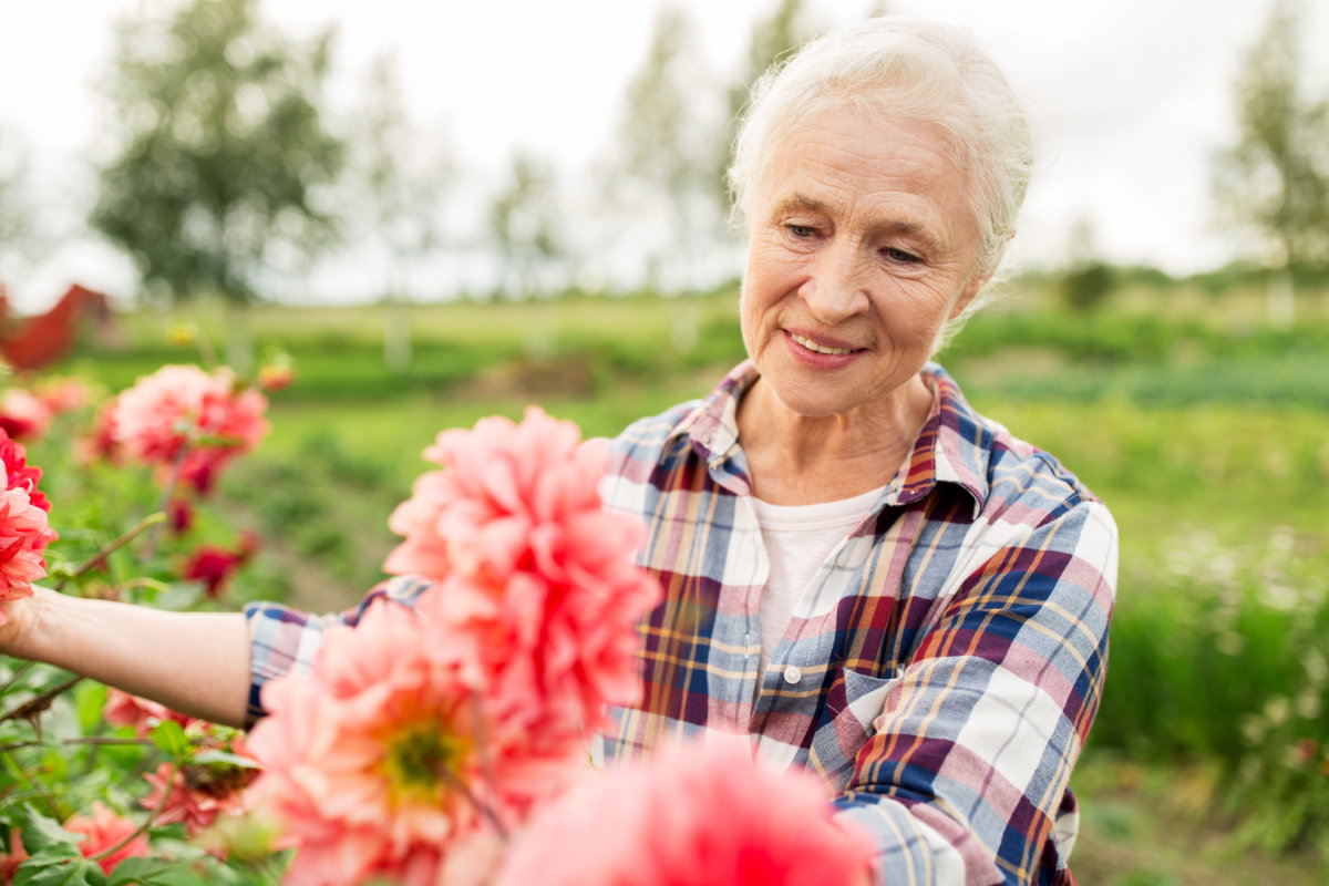 Babcia z Kaszub zdradziła nam pradawny przesąd