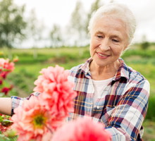 Babcia z Kaszub zdradziła nam pradawny przesąd