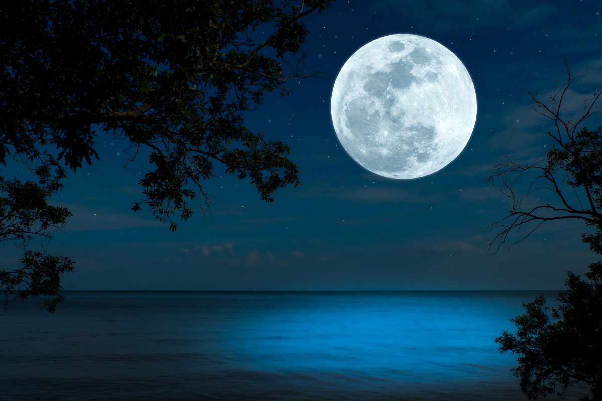 Tygodniowa prognoza astrologiczna 19-25 sierpnia 2024