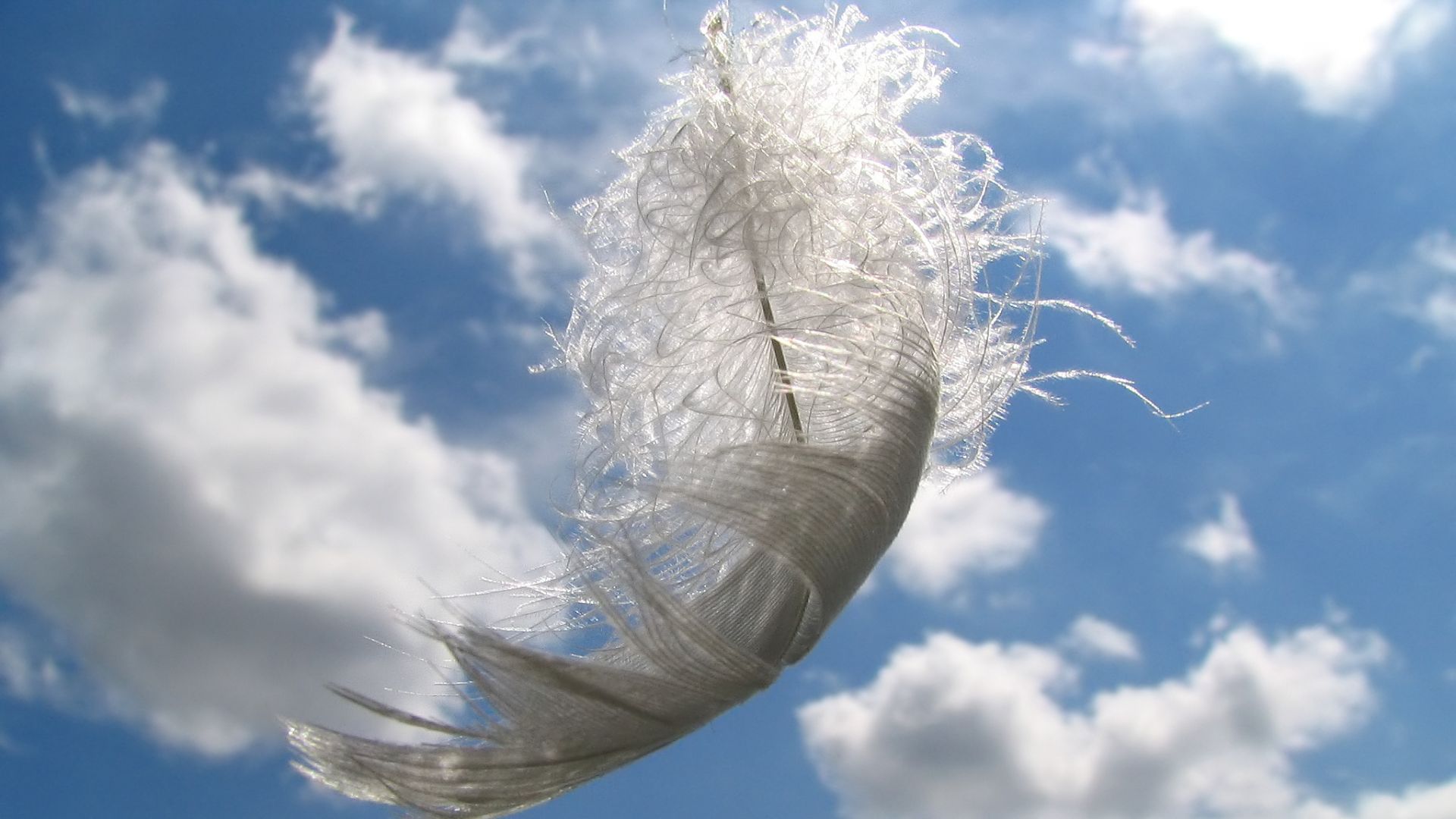 Przepowiednia z anielskich piór