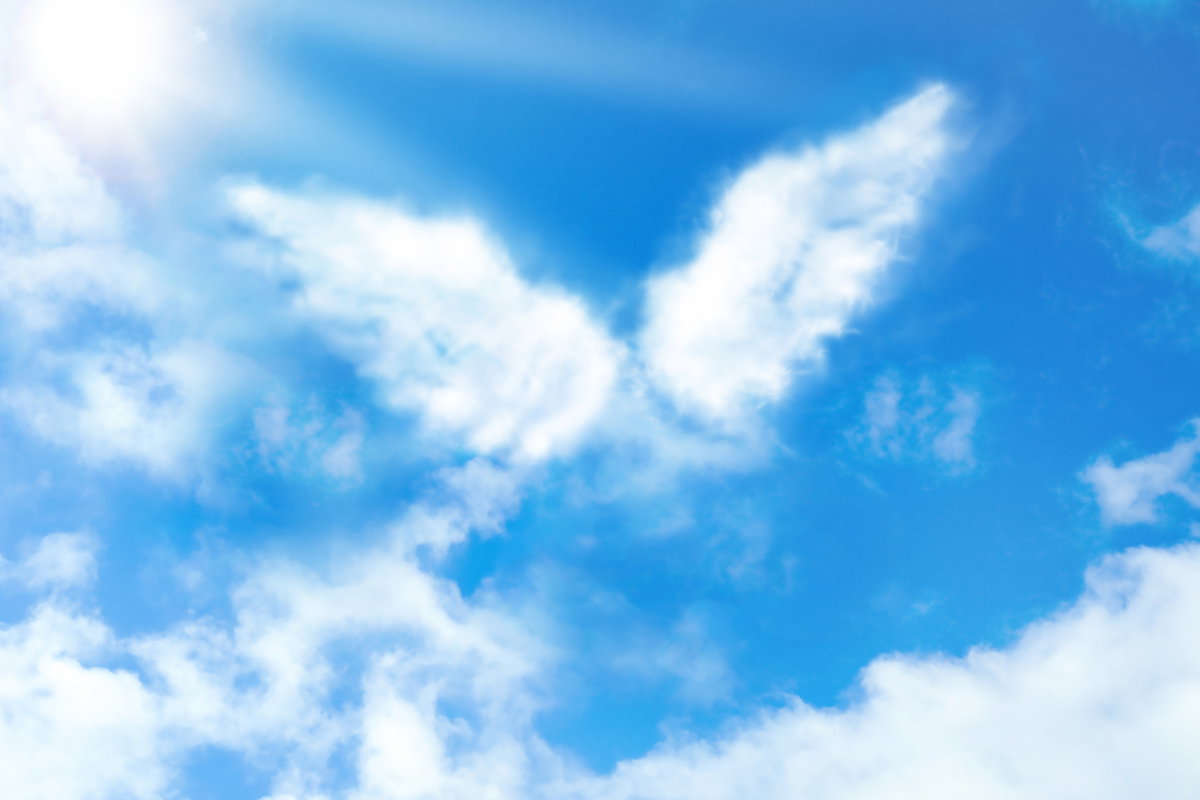 Przesłanie anielskie na sierpień 2024