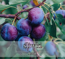 Sennik śliwki