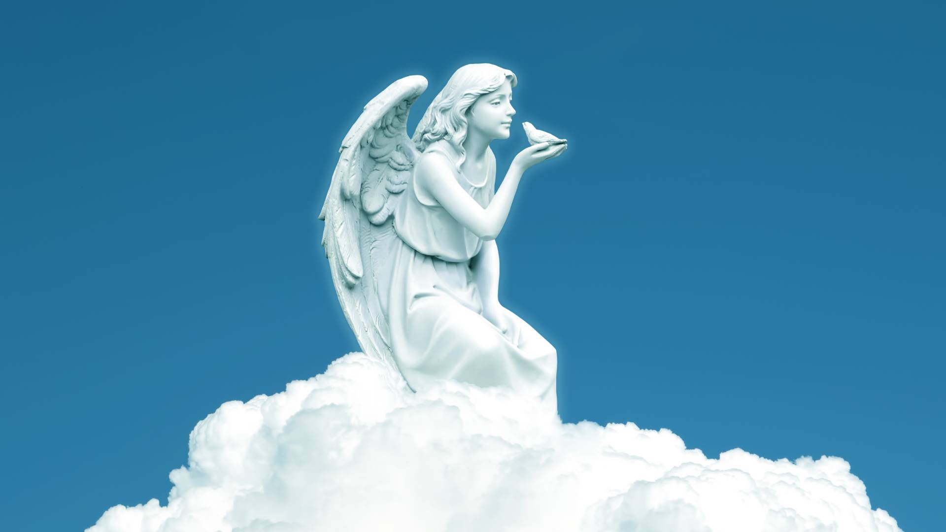 Horoskop anielski na sierpień 2024