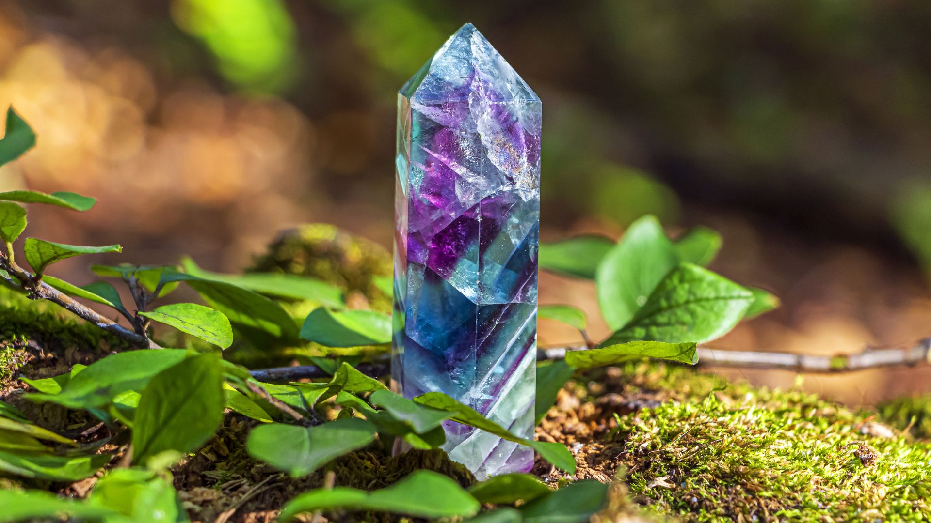 fluoryt właściwości