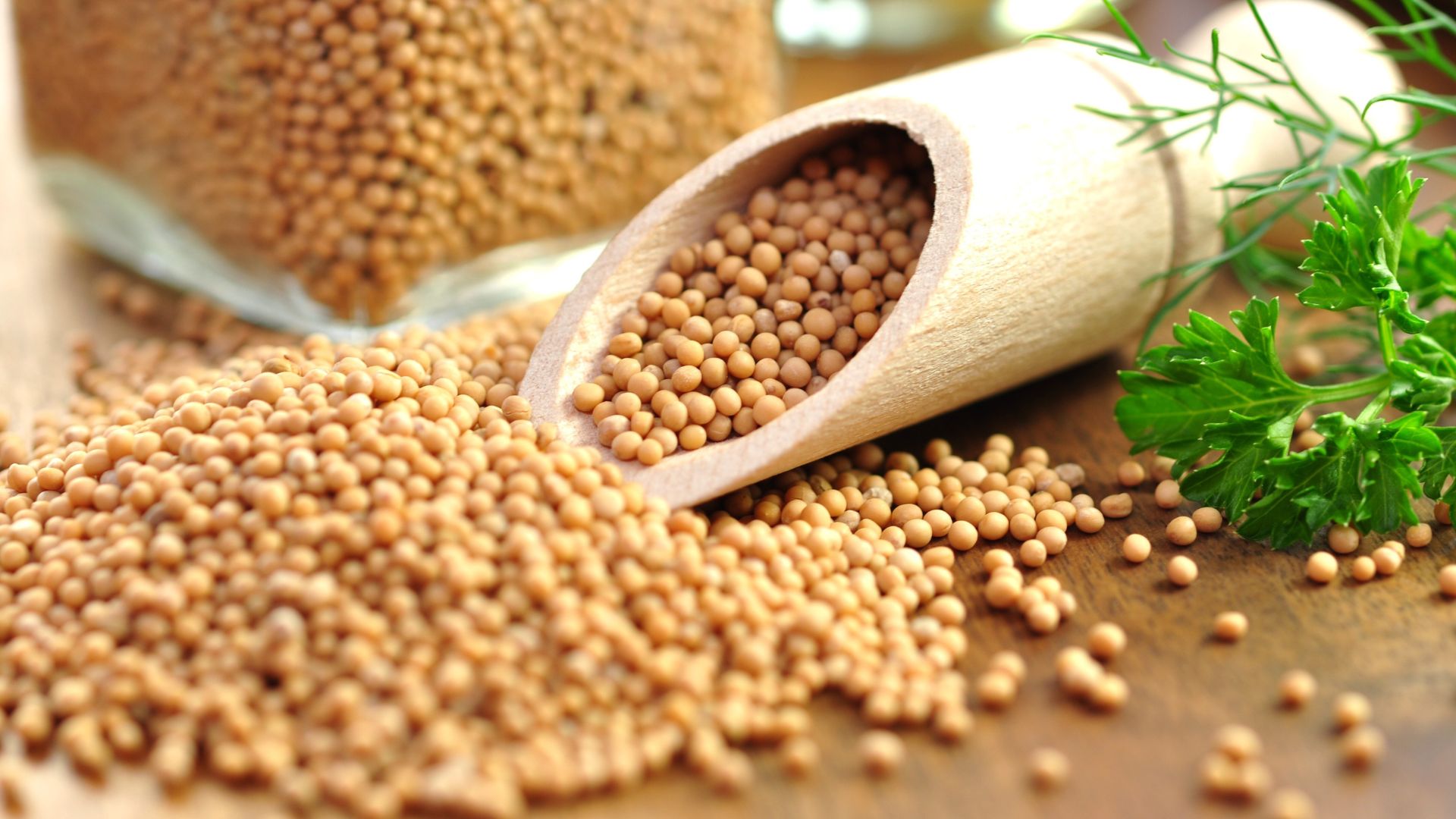 polska wróżba z ziaren gorczyc