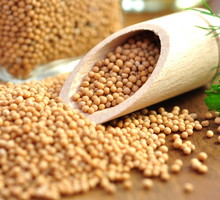 polska wróżba z ziaren gorczyc