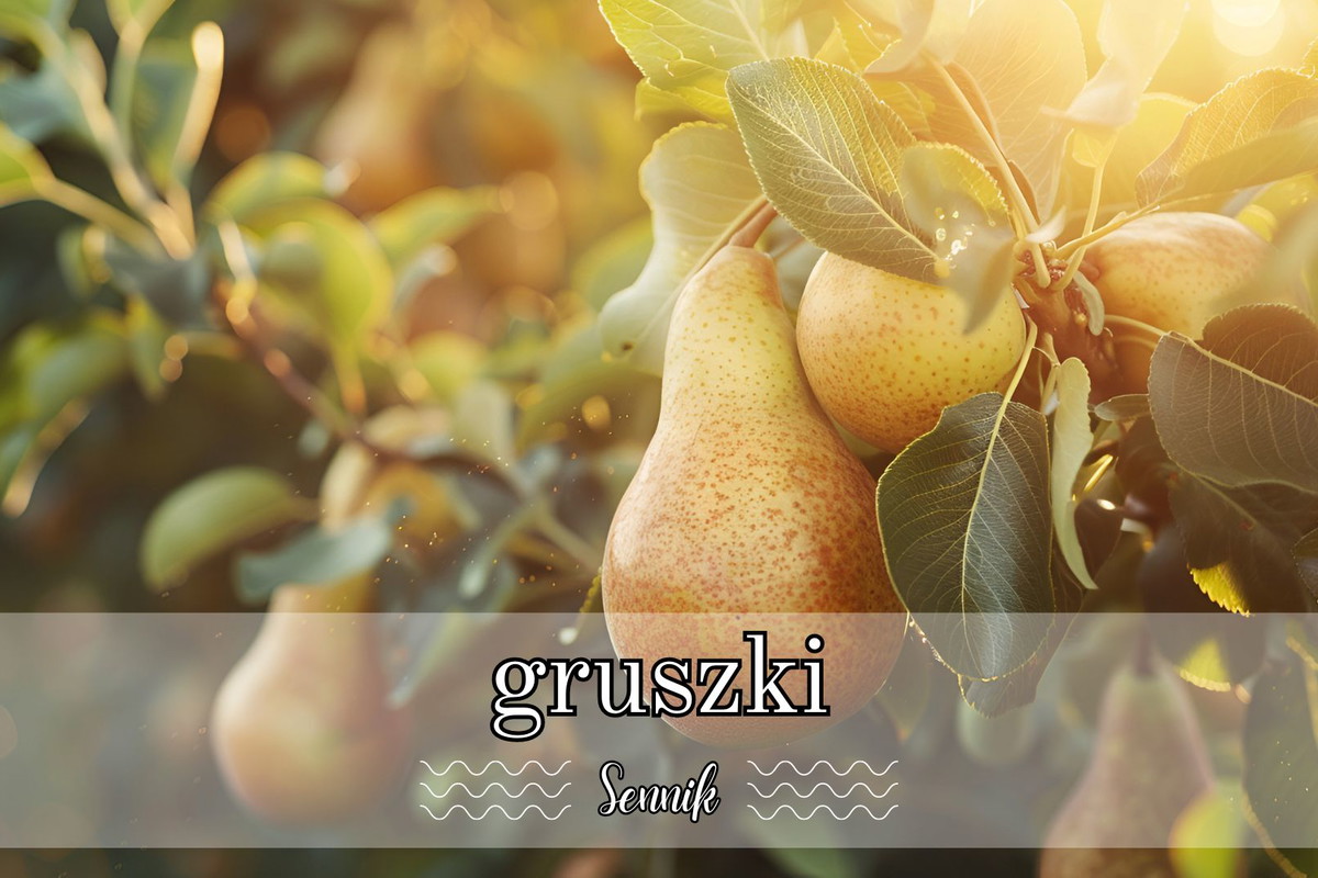 Sennik gruszki